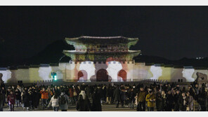 개막 10일 만에 137만 명… 서울라이트 광화문, 연말 ‘빛축제’ 흥행 이어간다
