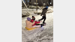 [고양이 눈]겨울밤의 놀이터