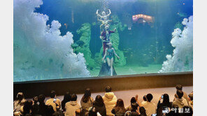 인어 산타가 “미리 메리 크리스마스”