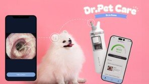 오티톤 메디컬, 펫 스마트 체온계로 CES 2026 혁신상 수상 [SBA CES]