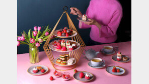 출하 늘고 가격 안정… 호텔가, 겨울 딸기 디저트 경쟁