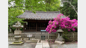 日서 해체 환수된 관월당 부재 공개…100년 귀환의 기록