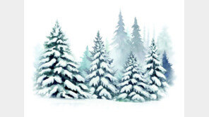 소나무가 원뿔 모양인 이유[서광원의 자연과 삶]〈116〉