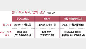 中 AI칩 업체들 잇단 IPO… “반도체 굴기 실탄 확보”