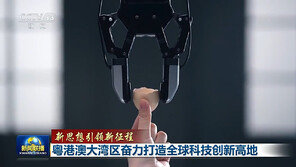 광둥·홍콩·마카오 대만구, 글로벌 첨단 산업 허브로 부상