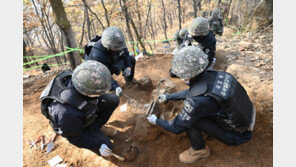 올해 6·25 전사자 유해발굴에 10만명 투입…백마고지 등서 141구 수습