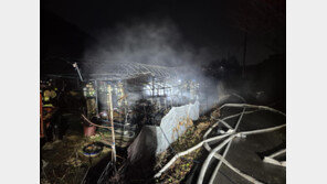 “복숭아밭 검은 연기”… 비닐하우스서 잠자던 부부, 화재로 사망