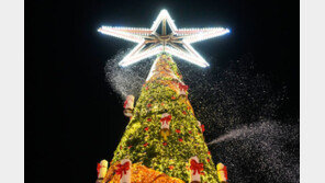 “2025.12.25.12:25:25”…놓치면 100년 기다려야 하는 1초