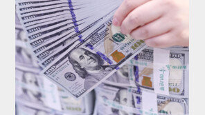 “달러 팔라” 압박에 재계 속앓이…“美공장도 증설해야 하는데”