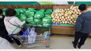 기상 악화에 가을배추-무 생산량 줄어들어