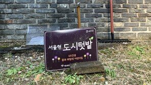 [고양이 눈]안내판의 이사