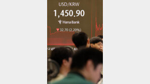 대통령실 “환율 여울목 지나는 중” 이례적 구두 개입 나서