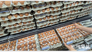 AI 확산 조짐에 달걀 가격 다시 강세…한판에 7000원대 유지