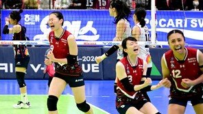 현대건설, 정관장 제압… “기쁘다, 7연승”