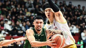 DB, ‘아시아쿼터’ 알바노 날았다… 19점 올리며 정관장 4연승 저지