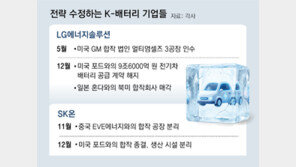 ‘혹한기’ K배터리, 자산 팔고 투자 계획 수정 등 잰걸음