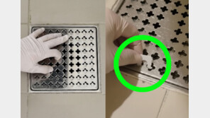 “그걸 왜 버려?”…식빵 클립 하나로 ‘이곳까지’ 정리 끝 [알쓸톡]