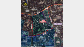 인사동 한옥 건축기준 완화… 절반만 한옥 구조면 인정