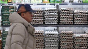 계란 한판 한달새 다시 7000원대… 불안한 ‘서민밥상’