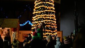 크리스마스·새해 앞두고…튀르키예서 테러 모의 115명 체포