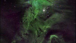 가장 큰 크리스마스 트리는?…폭 757조km ‘입이 쩍!’