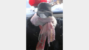 마약 혐의 황하나 영장심사…취재진 질문엔 ‘묵묵부답’