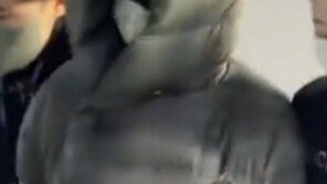 마약 혐의 황하나 영장심사…취재진 질문엔 ‘묵묵부답’