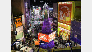 8000명 몰린 성탄절 거리 빛조형물서 ‘연기’…화재 오인 신고