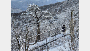 평창 발왕산 케이블카 1시간 멈춰…탑승 관광객 100명 한때 고립