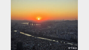 붉은 말의 해, 살곶이 벌판을 물들이는 생명의 기운[전승훈 기자의 아트로드]