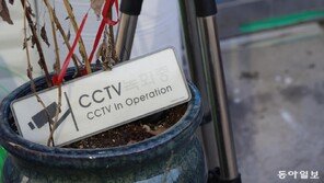 [고양이 눈]철통 감시