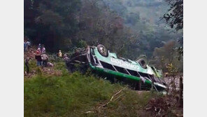 크리스마스의 비극…멕시코 협곡 버스 추락해 42명 사상