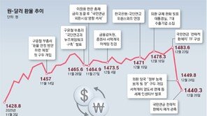 환율 1440원대 안착… 외환당국 개입-국민연금 환헤지 통한듯
