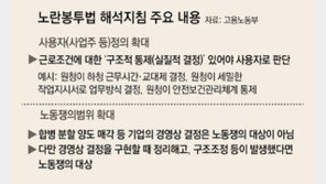 합병과정 구조조정 동반되면 파업 가능… 재계 “지침이 더 모호”