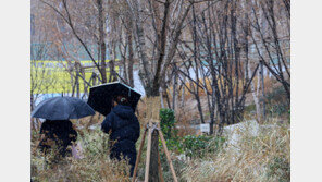 [날씨]연말 추위 한풀 꺾여 낮 최고 ‘12도’…중부지방 비·눈 소식