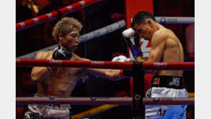 일본 복싱 간판 이노우에, 피카소에 판정승…나카타니와 맞대결 기대