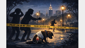 “산책 중이던 반려견 엉덩이에 갑자기 흉기를…범인은 도주”