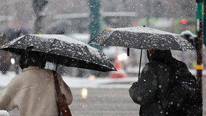 내일 강원 산지 최대 8cm 눈… 전국 평년보다 포근한 연말