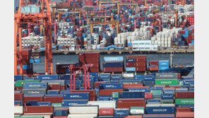 고환율·관세 겹악재…제조기업들 “내년 1분기도 어렵다”