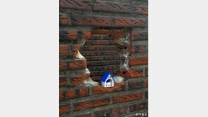 [고양이 눈]담벼락 틈새 작은 집