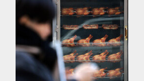 너도나도 뛰어든 치킨집…프랜차이즈 가맹점 3만 곳 첫 돌파