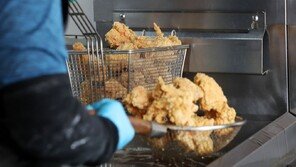 프랜차이즈 치킨집 3만개 처음 넘어… 매년 1000개꼴 늘어나