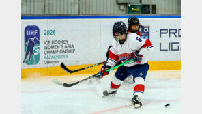 아이스하키 등 장기 후원… 동계 스포츠 저력 키운다