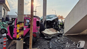 ‘14명 사상’ 제주 우도 렌터카 사고…국과수 “급발진 근거 없다”