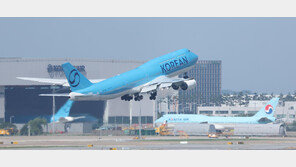 대한항공 기내식 협력사 해킹, 임직원 개인정보 3만건 유출