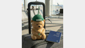 美스벅 ‘이 컵’ 대란에 경찰 출동까지?…국내 판매 시작