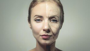 노화 되돌리는 약, 진짜 나왔다?…과학자들이 주목한 5가지 후보