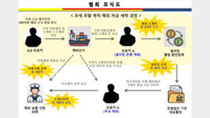 “세금 안 내게 해줄게”…베테랑 선장 빼돌려 370억 ‘환치기’ 일당 검거