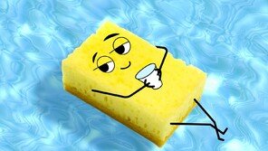 “닦을수록 미세플라스틱”…매직블록의 불편한 진실 [알쓸톡]