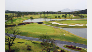 골프판 뒤집은 구력의 힘… 골프 가장 잘 치는 연령대는 70대